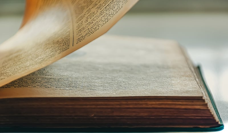 Time Traveler's Journal